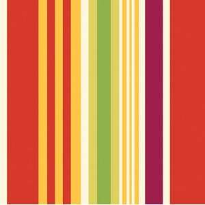  Southwest Chilies Beverage Napkins   Stripes Health 