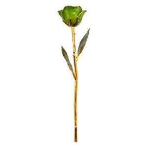  Gold Dipped Apple Green Rose