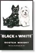 RARE LARGE BLACK AND WHITE WHISKEY SCOTTIE TERRIERS  