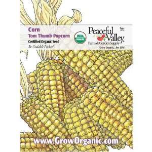    Organic Corn Seed Pack, Tom Thumb Popcorn Patio, Lawn & Garden