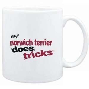  Mug White  MY Norwich Terrier DOES TRICKS  Dogs Sports 