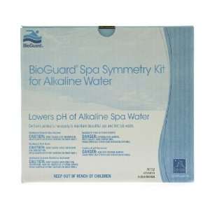  SpaGuard Spa Symmetry Kit for Alkaline Water: Home 