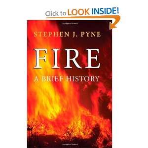  Fire A Brief History (Cycle of Fire) [Paperback] Stephen 