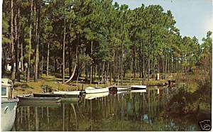 Bayou Reflections near Gulf Shores AL Baldwin Postcard  