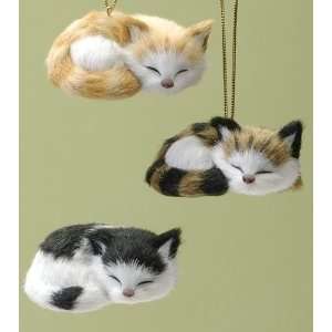  Club Pack of 12 Pet Keepsakes Sleeping Furry Kitten 