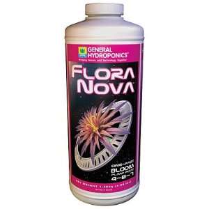  Flora Nova Bloom Qt 
