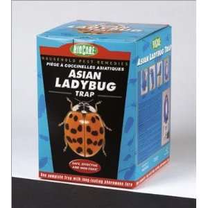  Asian Ladybug Trap