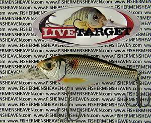   S75M205   3 SILVER / BRONZE SHAD   For Walleye 697713300277  