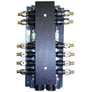   in. Plastic Female x Barb 12 Port Manifold with Brass Ball Valves