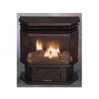 Home Depot   Vent Free Gas Stove customer reviews   product reviews 