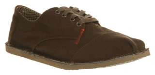 Mens Toms Desert Oxford Brown Canvas Shoe Casual Shoes  