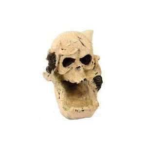 Design Elements Reapers Skull Aquarium Ornament   4 in. x 4.75 in. x 