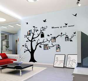 Photo Frame Large Tree Kids Room Art Mural Wall Sticker Decal  