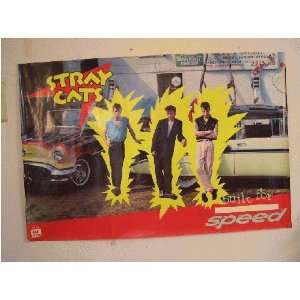   Stray Cats Poster Band Shot Brian Setzer Orchestra 