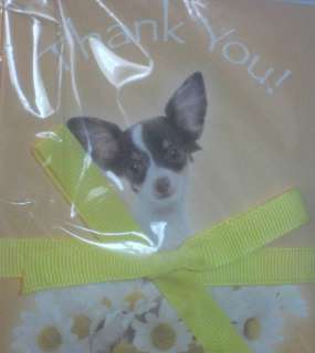   Thank You Cards Featuring a Sweet Chihuahua in a Daisy Pot %  