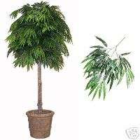 Brand New 7 Silk Weeping Ficus Artificial Tree Plant  