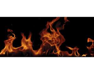 Fire & Flames ~ Fired Up Mural Style Wall Border  