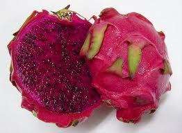 Hylocereus Costaricensis~ Red Dragon fruit~Sweet Pitaya seeds  