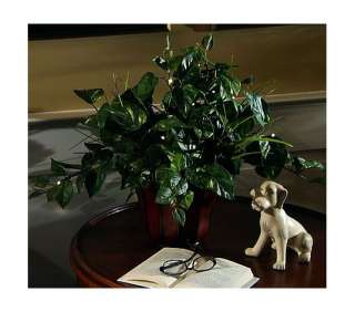   Lights Battery Operated 20 House Plant in Planter with Timer  