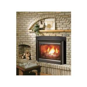   Natural Gas Direct Vent Fireplace Inser   7272