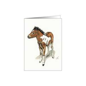 Miniature horse foal Card