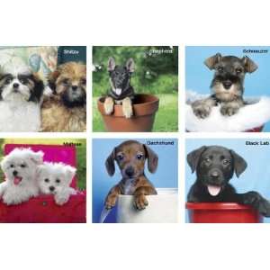   Puppies III Assorted Microfiber Cleaning Cloths