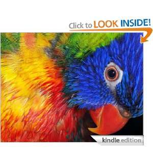  Pet parrot pocket guide eBook Polly Red Kindle Store