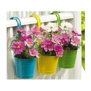   : Mothers Day Gifts Planters Tin Planters   Set of 3: Home & Kitchen